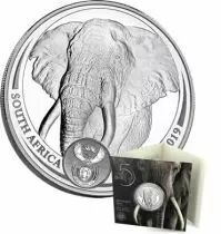 Afrique du Sud 1 Once Argent AFRIQUE DU SUD 2019 - &Eacute;l&eacute;phant - The Big Five
