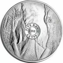 Afrique du Sud 1 Once Argent AFRIQUE DU SUD 2019 - &Eacute;l&eacute;phant - The Big Five