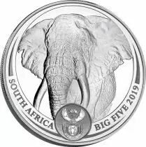 Afrique du Sud 1 Once Argent AFRIQUE DU SUD 2019 - &Eacute;l&eacute;phant - The Big Five