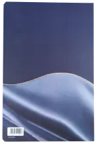 Album pour 17 coincards