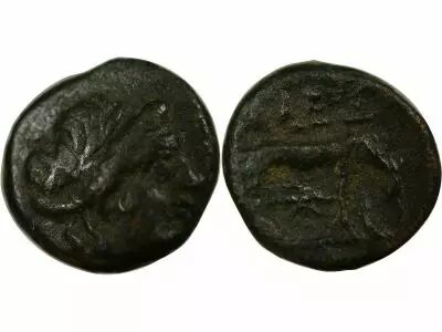 Alexandrie of Troad - Bronze - 300 / 280 BC