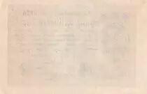 Allemagne 20 Millionen Mark - Olive & Marron - 1923 - Séries et filigranes variés - SUP - P.108