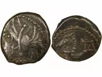 Allobroges - Denarius with Seahorse, Head left- Ist Century BC