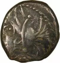 Allobroges - Denarius with Seahorse, Head left- Ist Century BC
