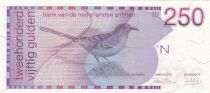 Antilles Néerlandaises 250 gulden Antilles Néerlandaises - 1986 - Oiseau moqueur