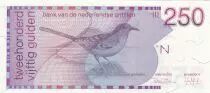 Antilles N&eacute;erlandaises 250 gulden Antilles N&eacute;erlandaises - 1986 - Oiseau moqueur