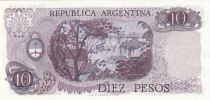 Argentina 10 Pesos Arthur Maury - Serial D - 1973/1976