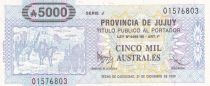 Argentina 5000 Australes - Province of Jujuy - 1990 - Serial J - P.S2412