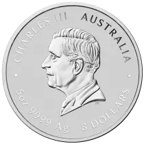 Australia  Year of the Rabbit - 1 Ounce Silver 2023 - 1 Dollar - Perth Mint