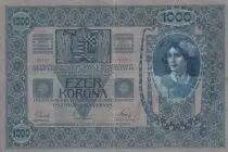 Austria 1000 Kronen 1902 - Arms Hungary-Austria - Ft oF+ - P.8