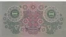 Austria 5000 Kronen - Young woman - 1922 - P.79