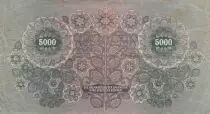 Austria 5000 Kronen - Young woman - Num 1316 29405 - 1922