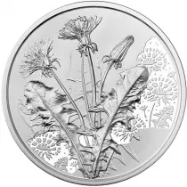 Autriche AUTRICHE 2022 - Le Langage des Fleurs - Le Pissenlit - 10 Euros Argent (BU)