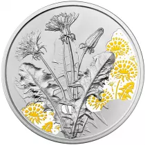 Autriche AUTRICHE 2022 - Le Langage des Fleurs - Le Pissenlit - 10 Euros Argent Coloris&eacute; (BE)