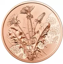 Autriche AUTRICHE 2022 - Le Langage des Fleurs - Le Pissenlit - 10 Euros Cuivre