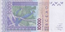 BCEAO 10000 Francs - Masque - Oiseaux - 2019 - Lettre A ( Côte d\'Ivoire) - P.New