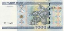 Belarus 1000  Roubles - National museum - P.27