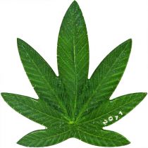 Bénin 100 Francs 2011 - Feuille Cannabis Sativa parfumée