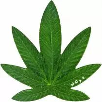 B&eacute;nin 100 Francs 2011 - Feuille Cannabis Sativa parfum&eacute;e