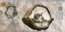 Beringia 5 Ice Dollars, Super Shark - Megalodon 2015