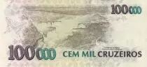 Brasil 100 Reais on 100000 Cruzeiros , Birds  -  Igua&ccedil;u cataract - 1993