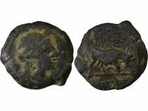 Bronze with Bull, Palm - 130 / 121 BC