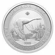Canada 10 Silver 2025 Dollars - Goose - 2 Ounces