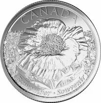 Canada 25 Cents Flower - 2015