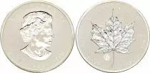 Canada 5 Dollars Elizabeth II - Maple Leaf 1 Oz Silver 2010