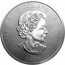 Canad&aacute;
