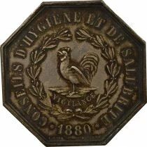 Central Council of Hygiene & Public Health ? Silver Token ? 1880
