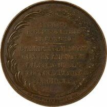 Charles Ferdinand, Duke of Berry - Copper Medal - 1820