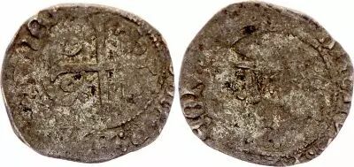 Charles VIII - Liard with Dolphin  - 1483 / 1498