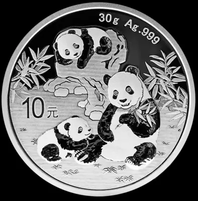 China  10 Yuan - Panda - 2025 - Argent
