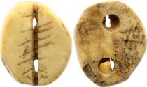 China Bone Shell - Cauris  (756-256 BC)