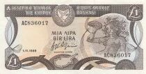 Chipre 1 Pound - 01-11-1989 - P.53