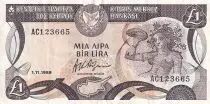Chypre 1 Pound - Femme - Monument - 1989 - TTB - P.53a