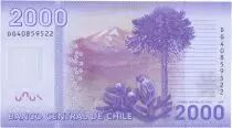 Cile 2000 Pesos Manuel Rodriguez - National parc of Nalcas - 2014 Polymer - Serial DG