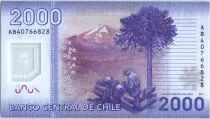 Cile 2000 Pesos Manuel Rodriguez - National parc of Nalcas - 2014 Polymer - UNC - P.162d