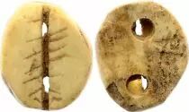 Cina Bone Shell - Cauris  (756-256 BC)