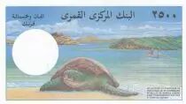 Comore 2500 Francs - Woman - Turtle - 1997 - AU