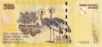 Congo (RDC) 20000 Francs - Bashilele - Giraffes - 2020 - P.NEW