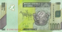 Congo Democratic Republic 1000 Francs Kanioka Box - Okapi - 2013