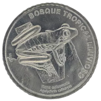 Costa Rica 50 Colones - Frog - 2025