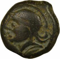 CRICIRV Bronze - 50 / 40 BC