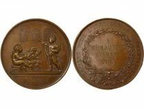 Elementary Instruction - Copper Medal, M. Daubinet - 1883