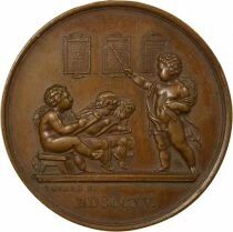 Elementary Instruction - Copper Medal, M. Daubinet - 1883