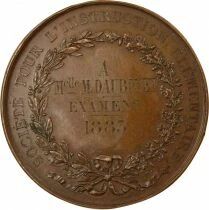 Elementary Instruction - Copper Medal, M. Daubinet - 1883