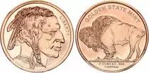 Etats Unis d\'Amérique Buffalo - 2 Ounces Copper