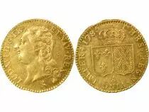 France  Louis XVI - Gold Louis, with Bare Head - 1785 A Paris